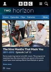 BBC ��ƽ��ϵ��:��̥����