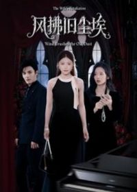 ����ɳ���