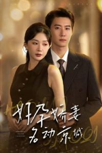 ���н�����������