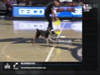 NBA������ ����VSħ�� 20231209