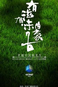 ������ζ���ɹ�