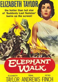 �߹�������