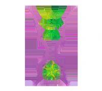 �������ޱ� �ձ�vs������20250806