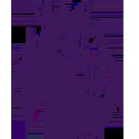 Ӣ�� �����ظ���vs��˹��ά��20250823