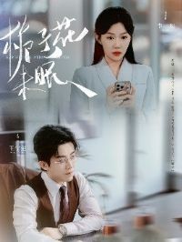 ���ӻ�δ��